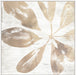 Neutral Palm Fossil III Wall Art