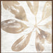 Neutral Palm Fossil III Wall Art