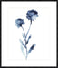 Nordic Floral - Bloom Wall Art