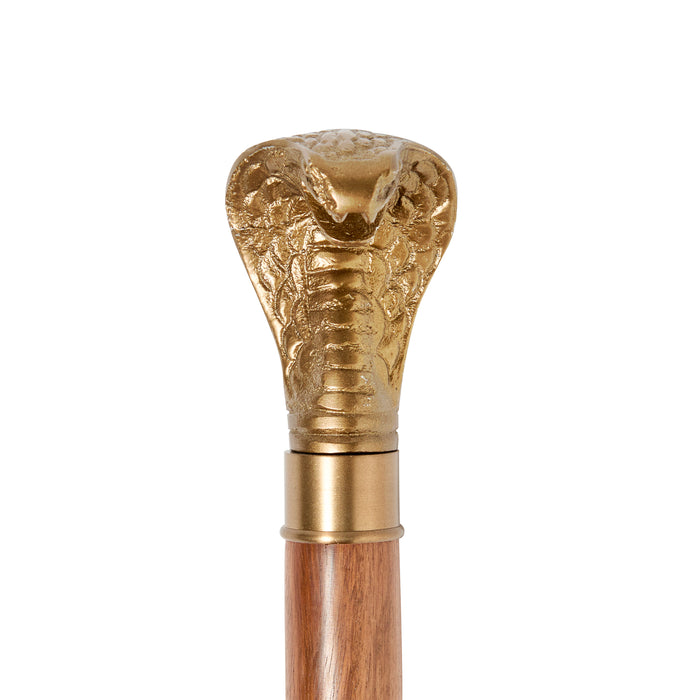 Cobra Walking Stick - Acacia Wood