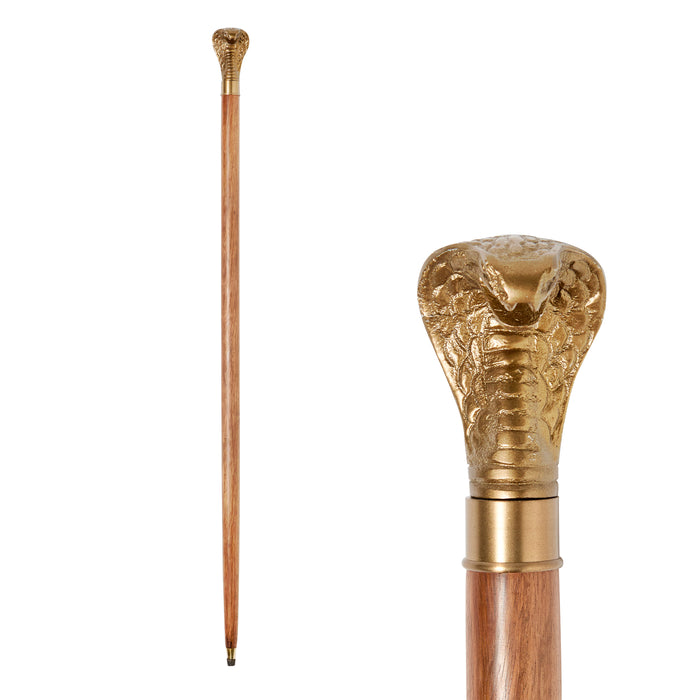 Cobra Walking Stick - Acacia Wood