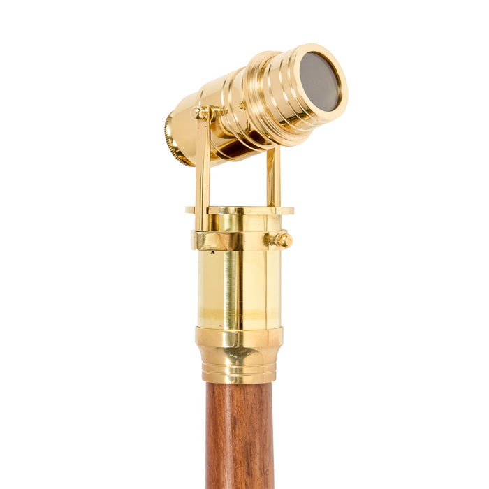 Telescope Walking Stick