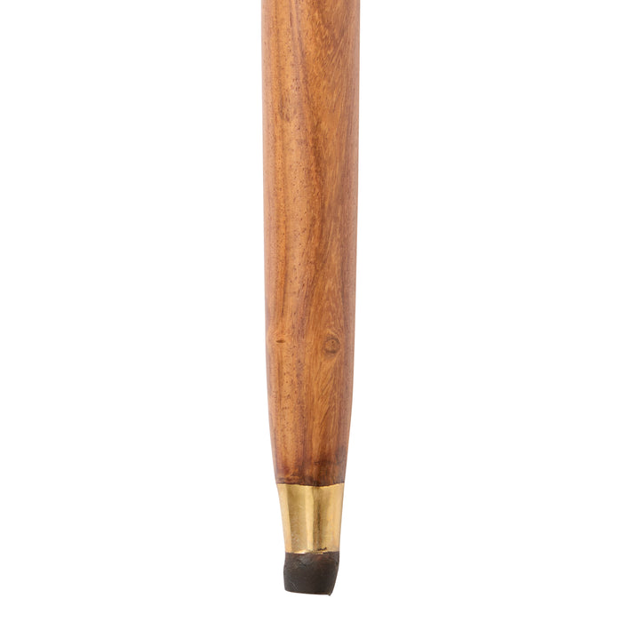 Telescope Walking Stick