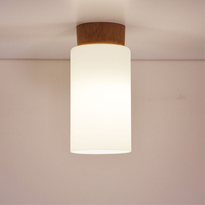 Nina Diy Light