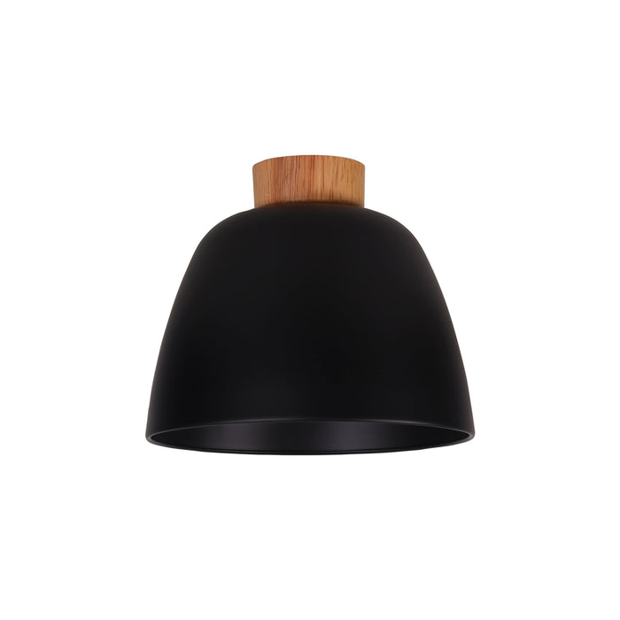 Tommy Diy Black Light