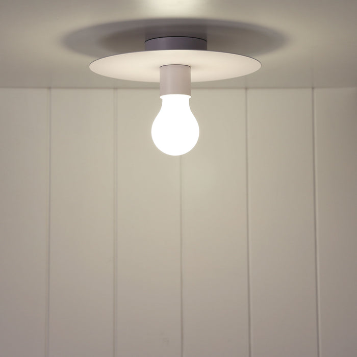 Piato White Light