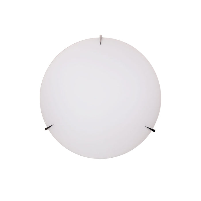 Claw 40 Wall Light
