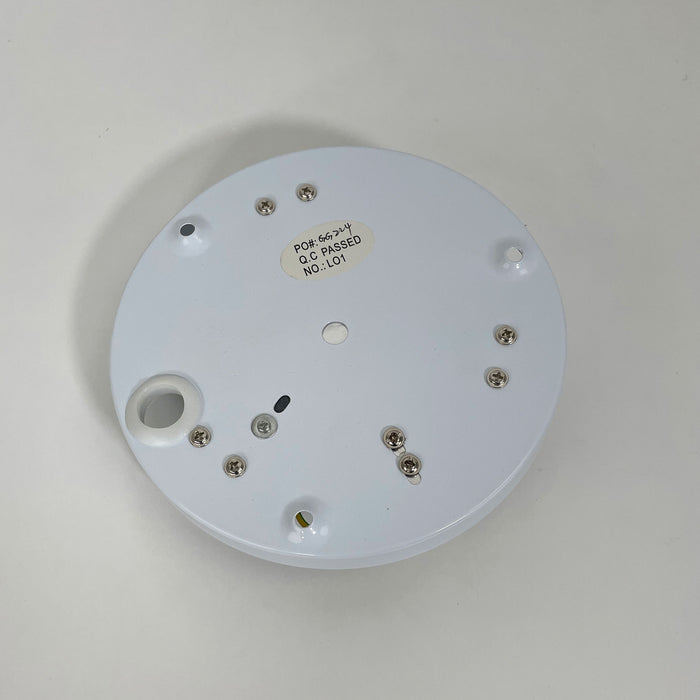 Elba Wall Light