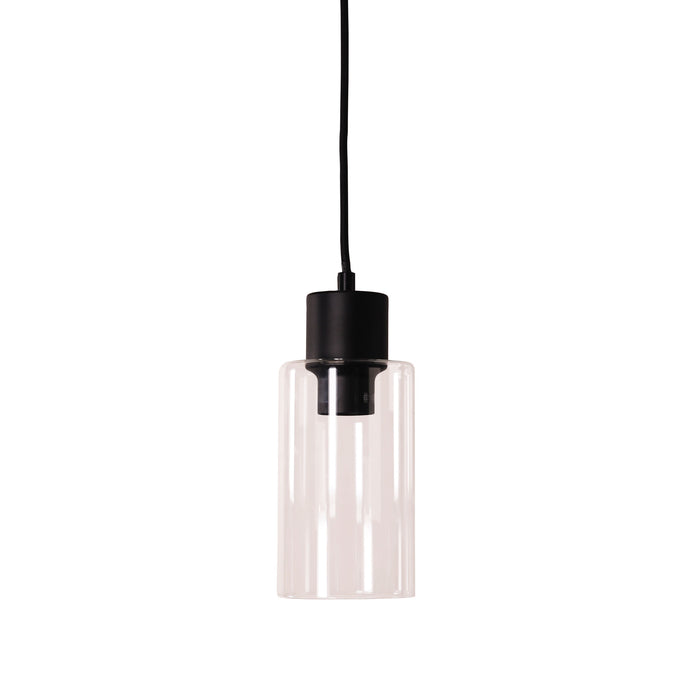 Lisa Black/Clear Pendant