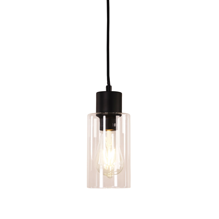 Lisa Black/Clear Pendant