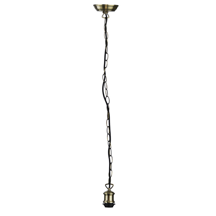 Albany Chain Antique Brass Light