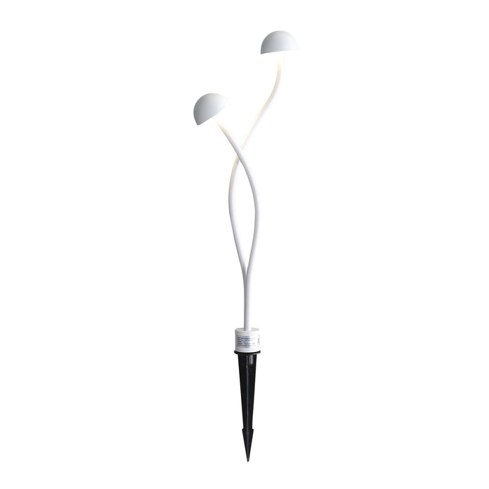 Enoki.2 Light