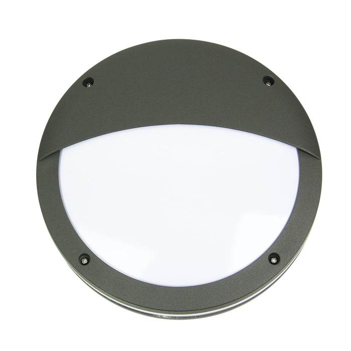 Tonato Eyelid Graphite Ceiling Light
