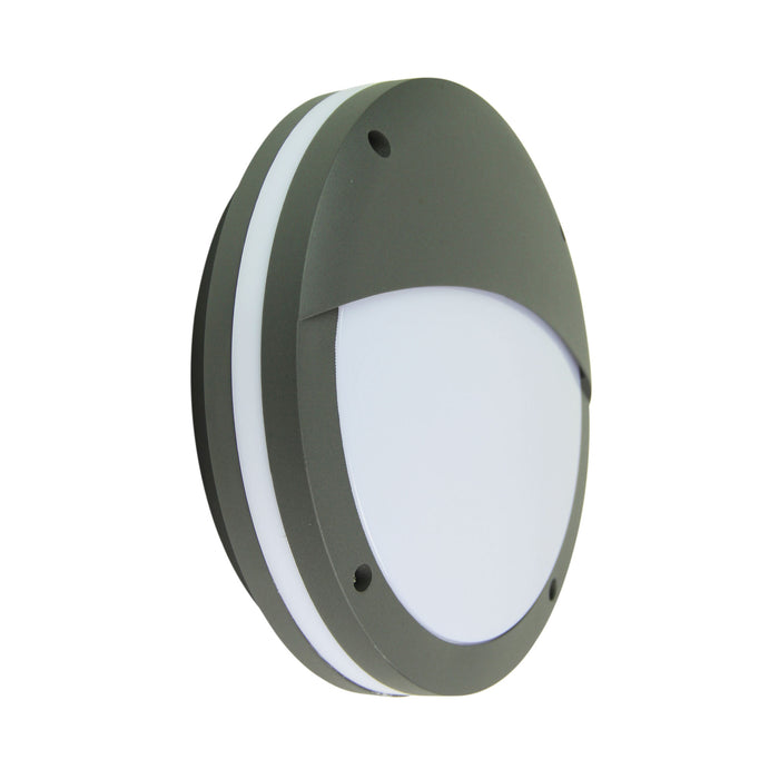 Tonato Eyelid Graphite Ceiling Light