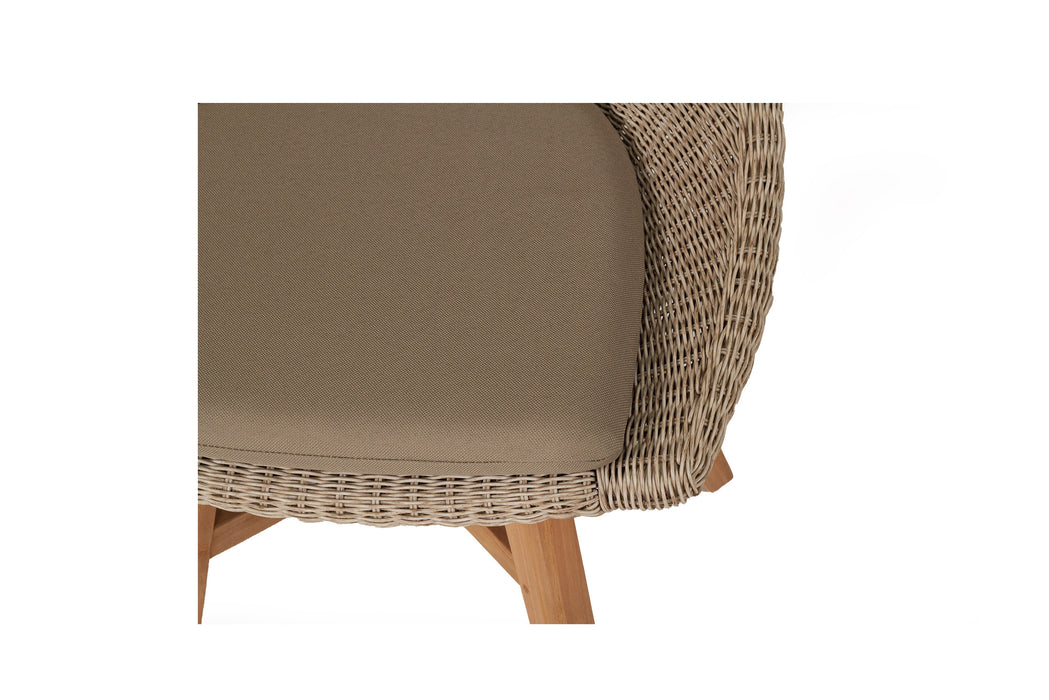 Oceanic Dining Chair - Set of 2 - Mushroom