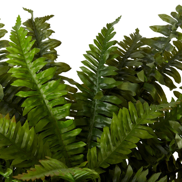 Fern Boston - Green, 55cm (H)
