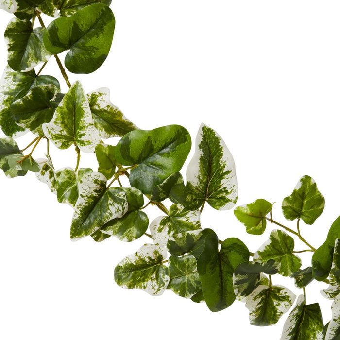 Ivy Kangaroo Garland - Variegated, 180cm (H)