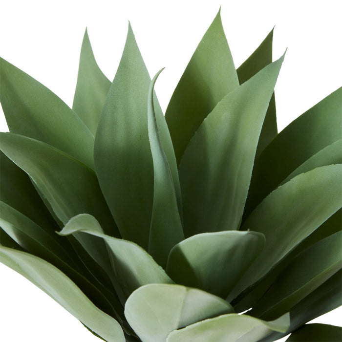 Agave Pack of 2 - Grey Green, 41cm (H)