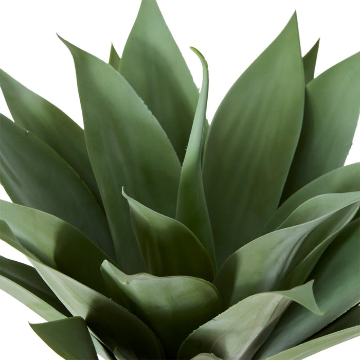 Agave Pack of 2 - Grey Green, 52cm (H)