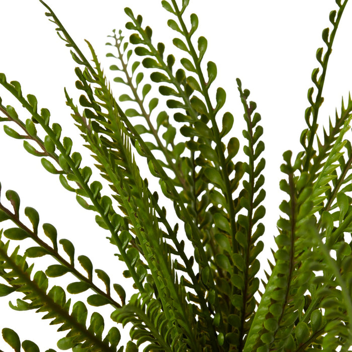 Fern Lemon Button Pack Of 12 - Green, 33cm (H)