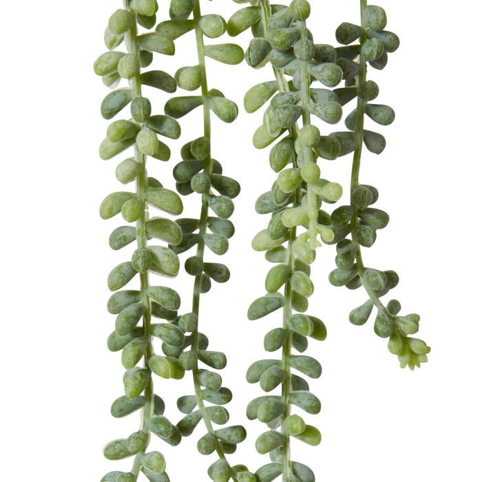 String of Pearls Pack Of 12 - Grey Green, 42cm (H)