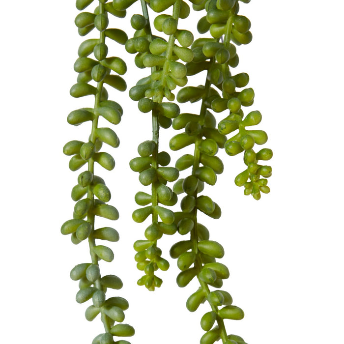 String of Pearls Pack Of 12 - Green, 42cm (H)