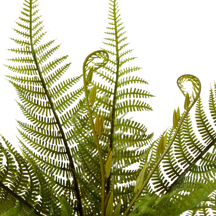 Fern Bracken Pack Of 12 - Green, 35cm (H)