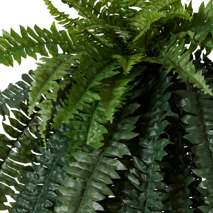 Boston Grand Fern Pack of 2 - Green, 120cm (H)
