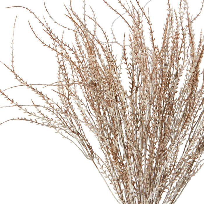 Wheat Grass Bush Pack Of 12 - Natural, 60cm (H)