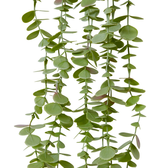 Coin Leaf Hanging Bush Pack Of 12 - Green, 81cm (H)