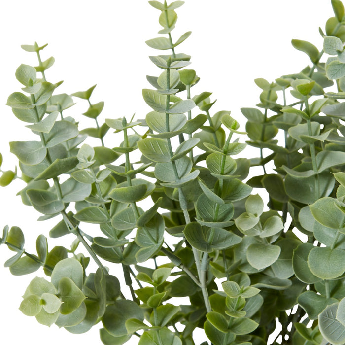 Eucalyptus Bush Pack Of 12 - Grey Green, 36cm (H)