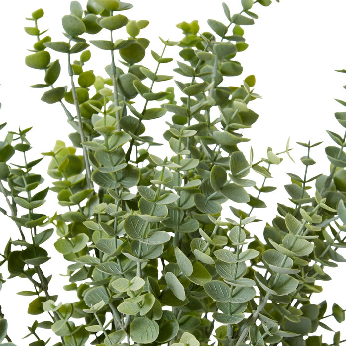 Eucalyptus Bush Pack Of 12 - Grey Green, 50cm (H)
