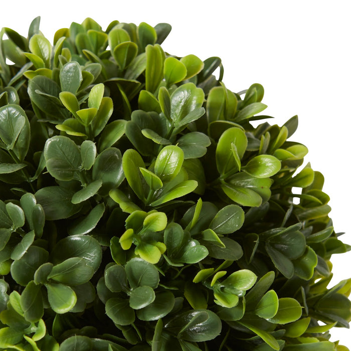 Topiary Boxwood Ball (Outdoor) Pack Of 12 - Green, 18cm (H)
