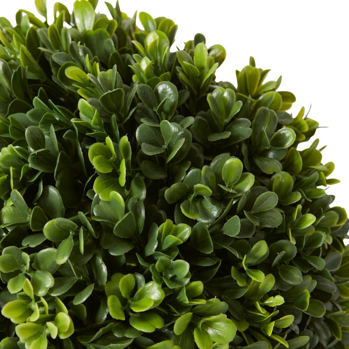 Topiary Boxwood Ball (Outdoor) Pack of 6 - Green, 24cm (H)