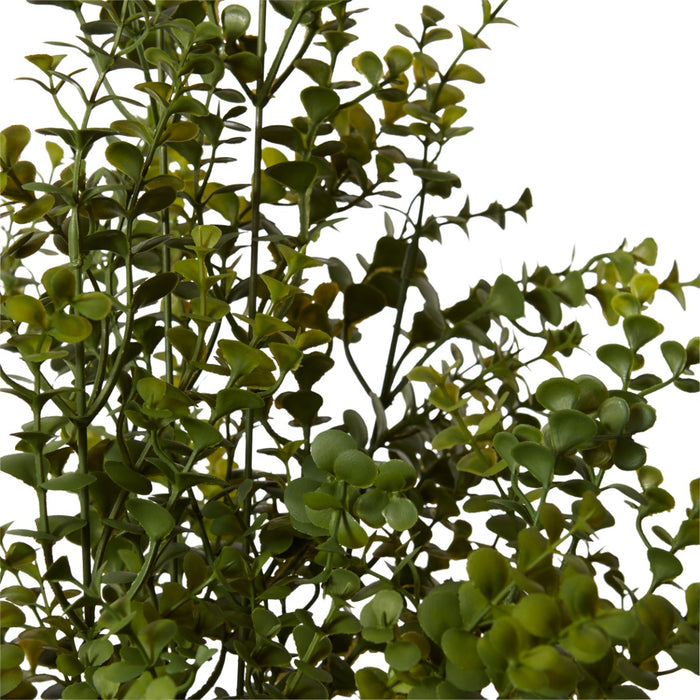 Hedge Bush Pack of 4 - Green, 78cm (H)