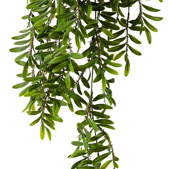 Locust Hanging Bush Pack of 12 - Green, 80cm (H)