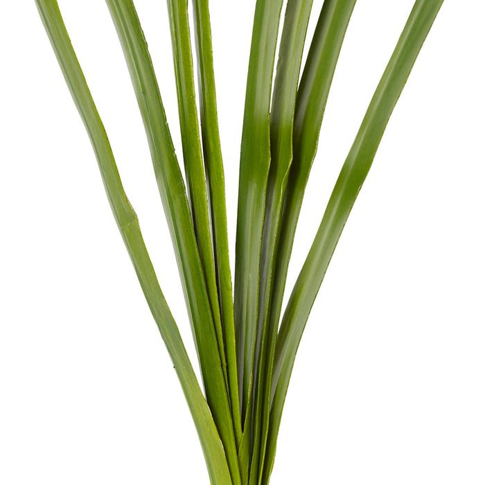 Orchid Cymbidium Foliage Pack of 12 - Green, 84cm (H)