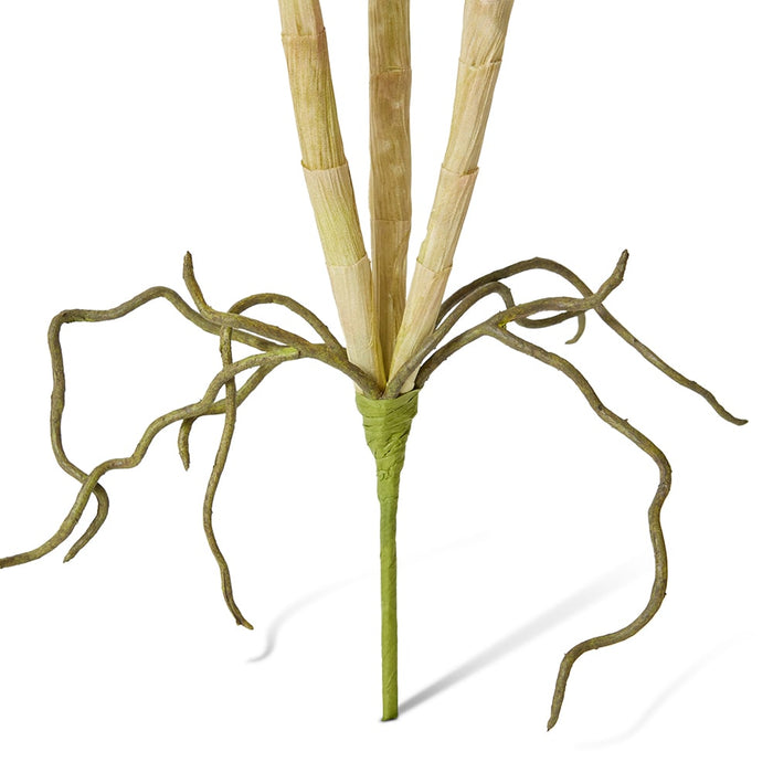 Orchid Dendrobium Foliage Pack of 12 - Green, 46cm (H)