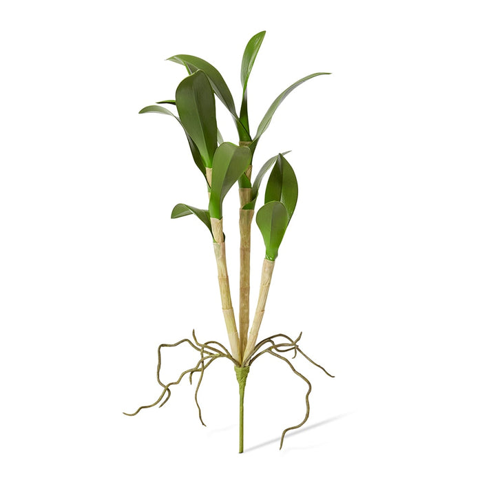 Orchid Dendrobium Foliage Pack of 12 - Green, 46cm (H)