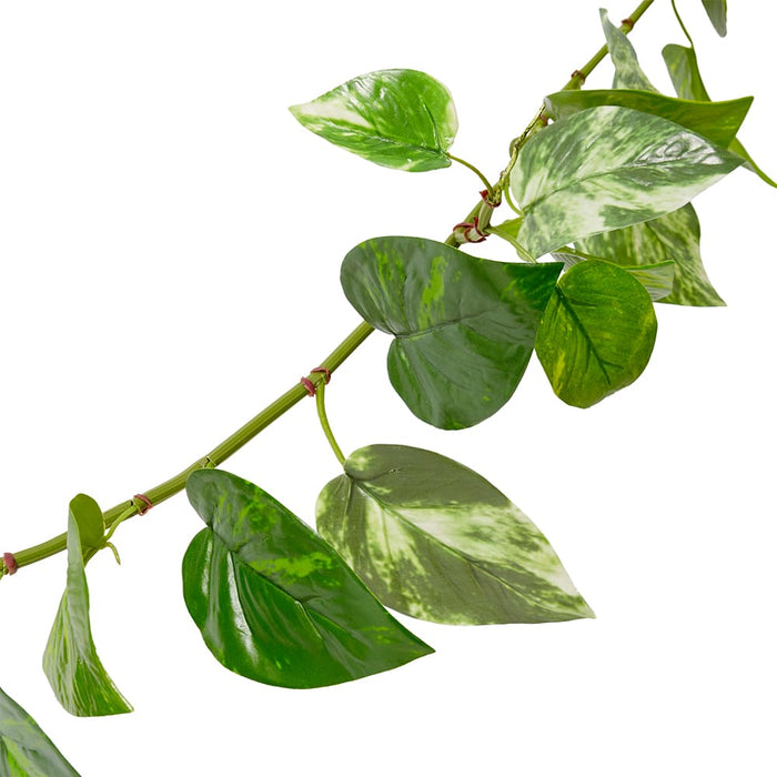 Pothos (Outdoor) Garland Pack of 12 - Green, 180cm (H)