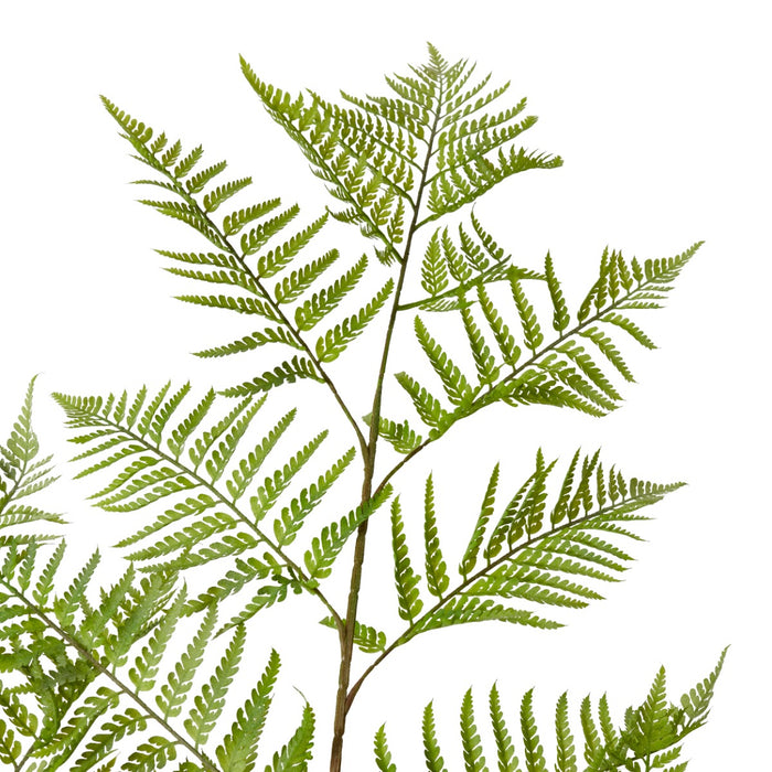 Fern Woodland Potted - Green, 157cm (H)