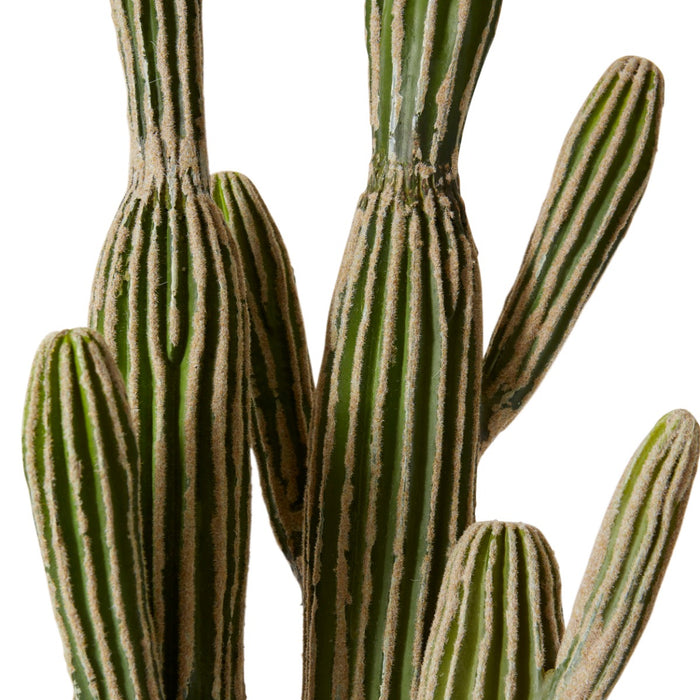 Cactus Saguaro Potted - Green, 152cm (H)