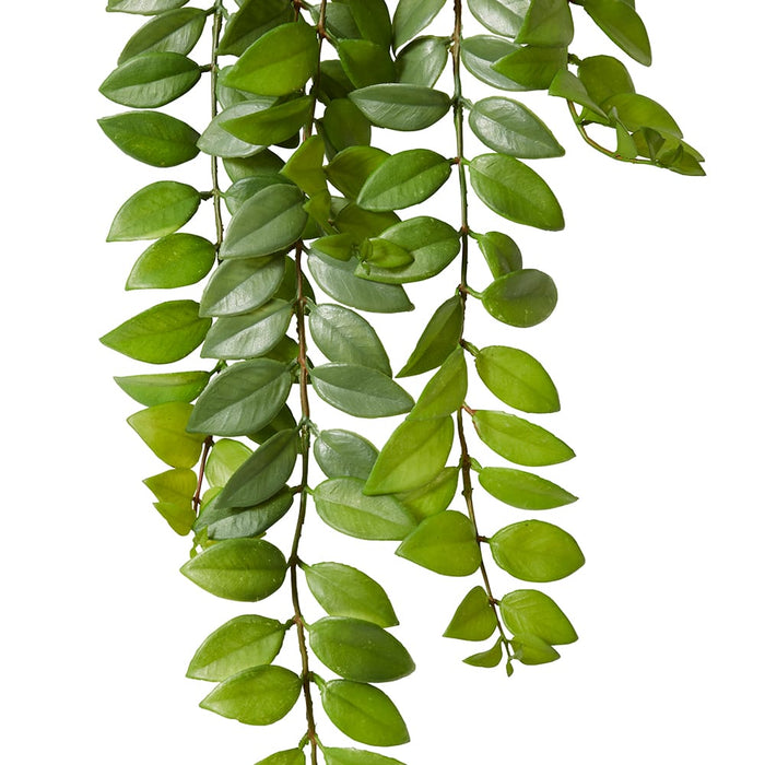 Honey Locust Hanging Bush - Green, 76cm (H)