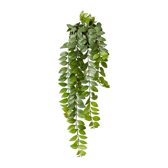 Honey Locust Hanging Bush - Green, 76cm (H)