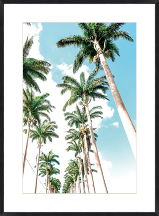 Palm Boulevard Wall Art
