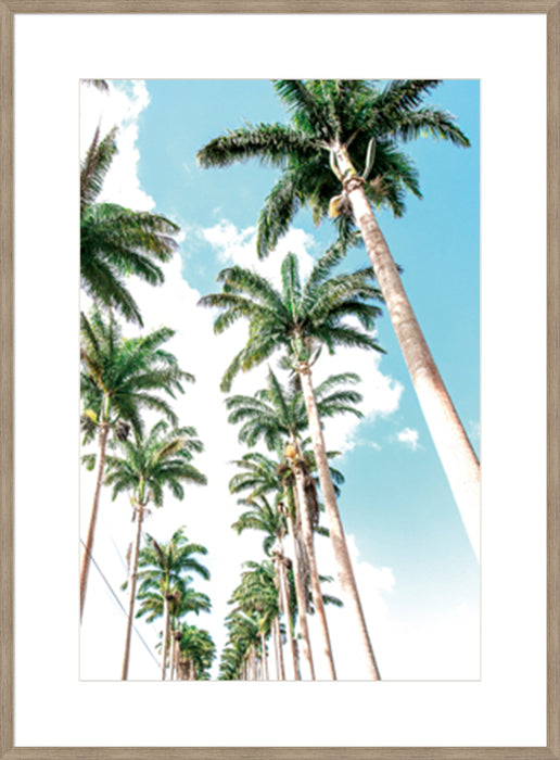 Palm Boulevard Wall Art