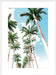 Palm Boulevard Wall Art
