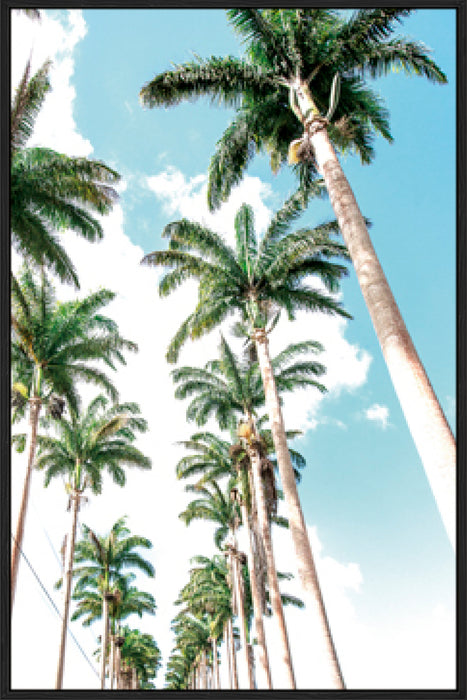 Palm Boulevard Wall Art