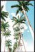 Palm Boulevard Wall Art