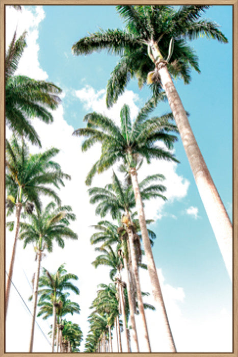 Palm Boulevard Wall Art